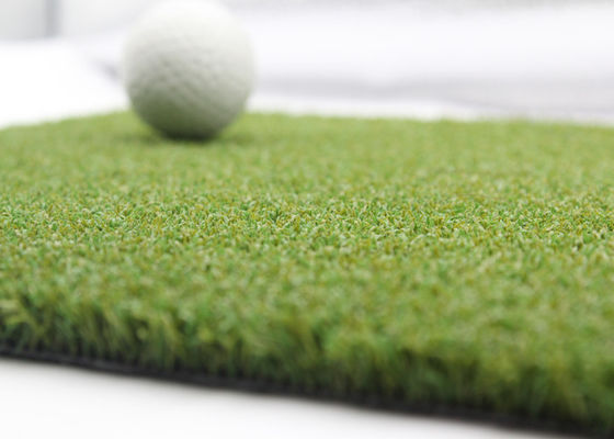 Κίνα Σγουρή τεχνητή χλόη υψηλής πυκνότητας τύρφης γκολφ τεχνητή για την τοποθέτηση γκολφ πράσινη προμηθευτής